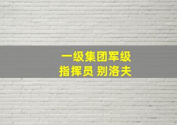 一级集团军级指挥员 别洛夫